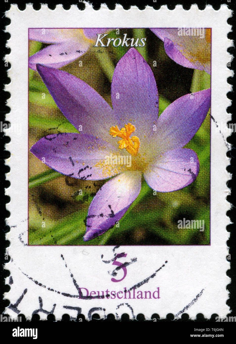 Briefmarke aus der Bundesrepublik Deutschland in den Blumen Serie in 2005. Stockfoto