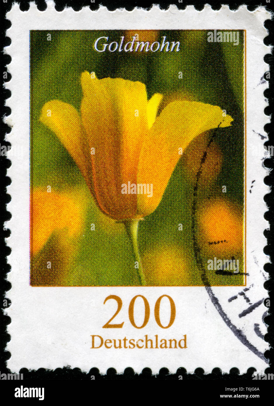 Briefmarke aus der Bundesrepublik Deutschland in den Blumen Serie in 2006. Stockfoto