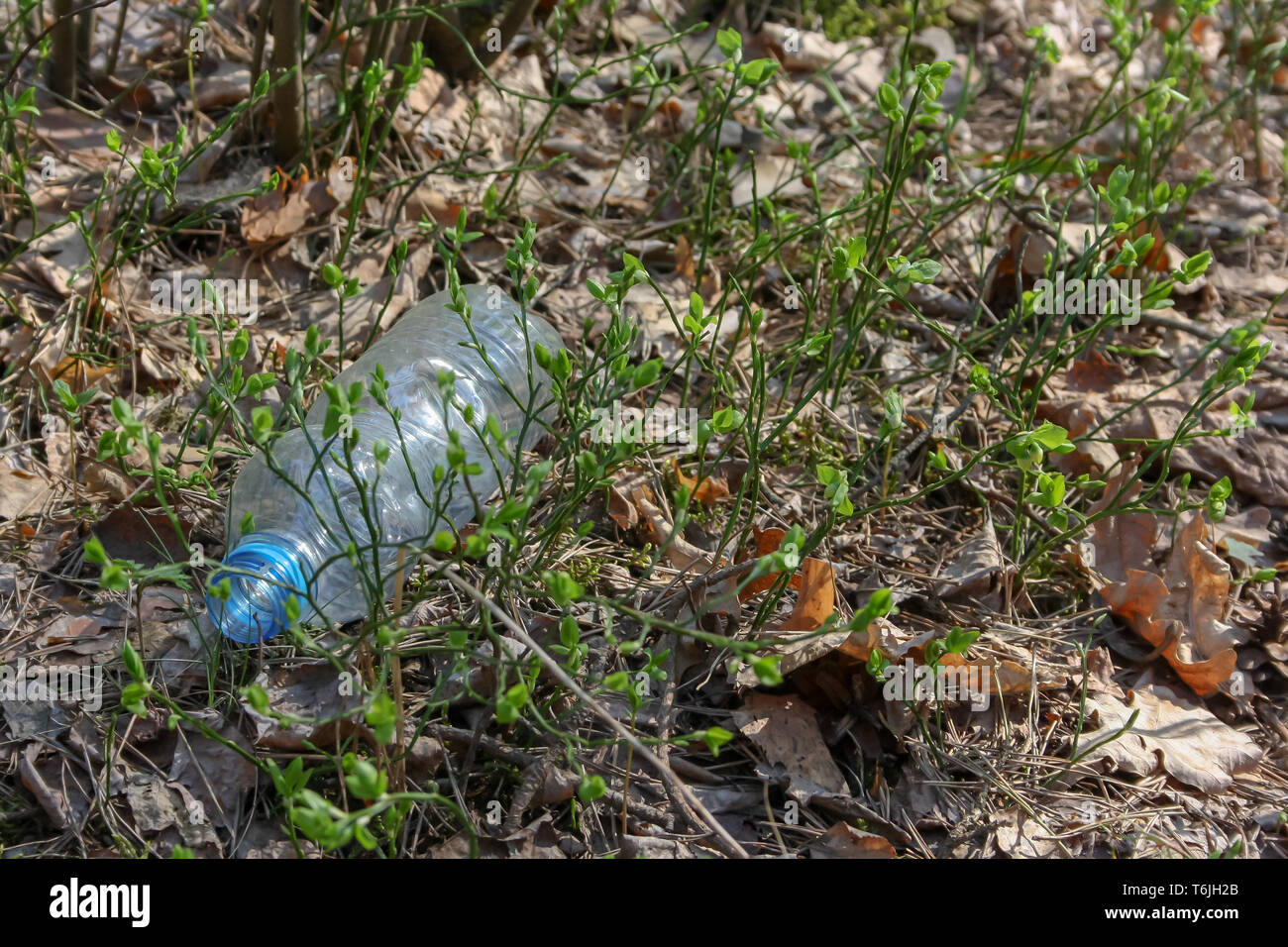 Eine achtlos wegwerfen Kunststoff Trinkflasche im Laub eingebettet Würfe ein Waldweg Stockfoto