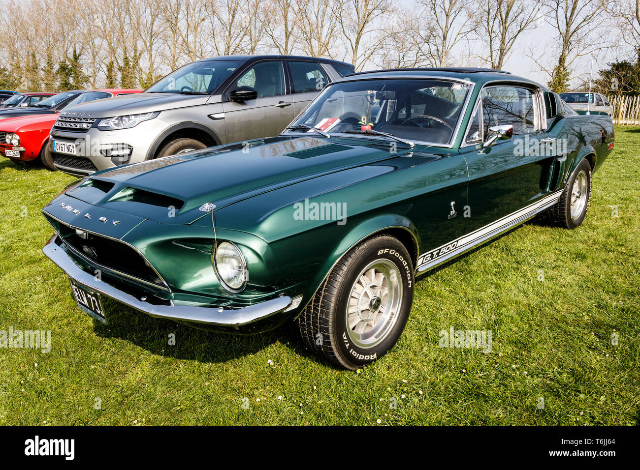 Shelby ford mustang gt500 -Fotos und -Bildmaterial in hoher Auflösung –  Alamy