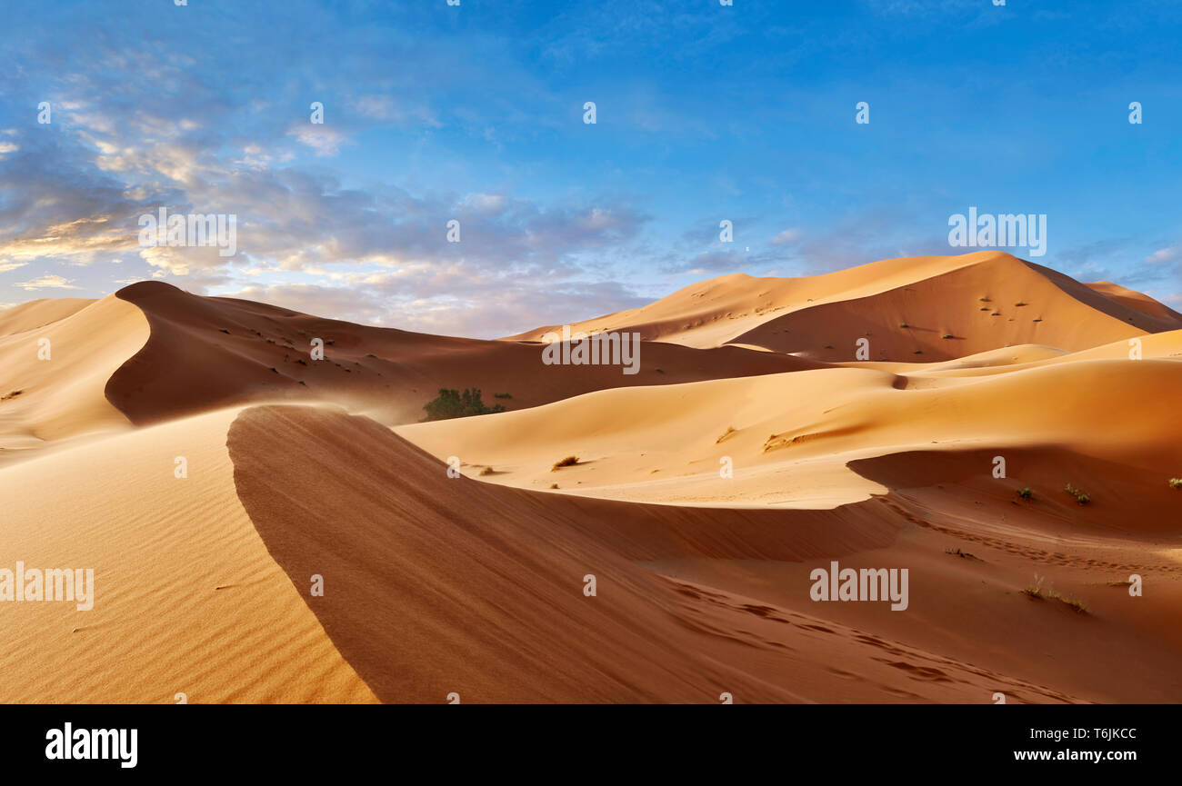 Sahara parabolische Sanddünen des Erg Chebbi, Marokko, Afrika Stockfoto