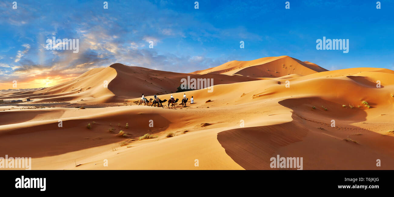 Kamele Fahrten unter der Sahara Sanddünen des Erg Chebbi, Marokko, Afrika Stockfoto