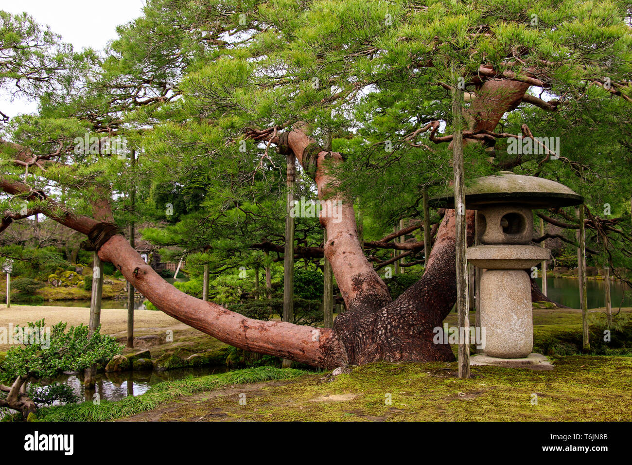 Kenrokuen garten im herbst Fotos und Bildmaterial in hoher Auflösung