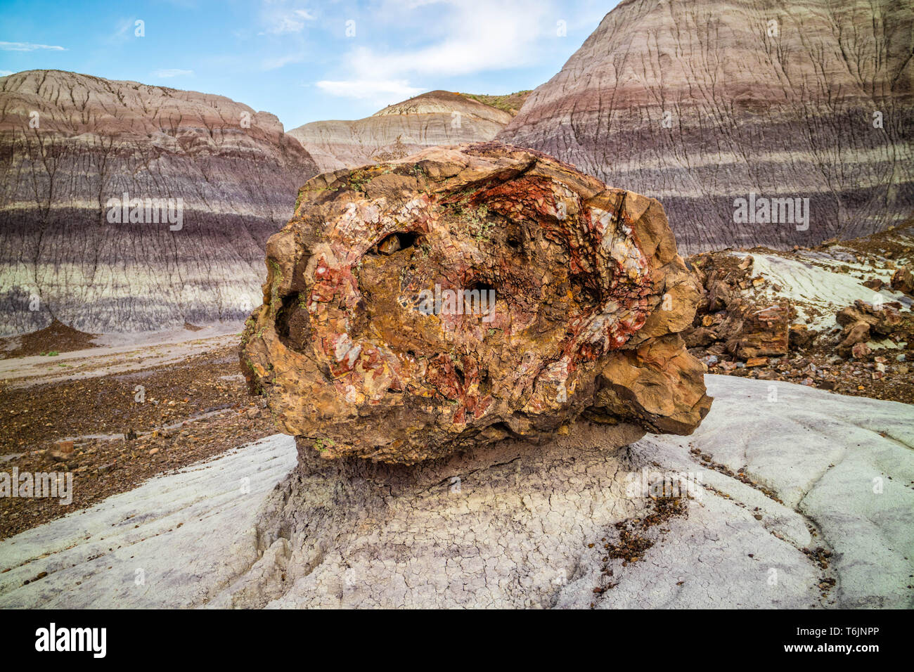 Versteinerte Felsen in Petrified Forest National Park, Arizona Stockfoto