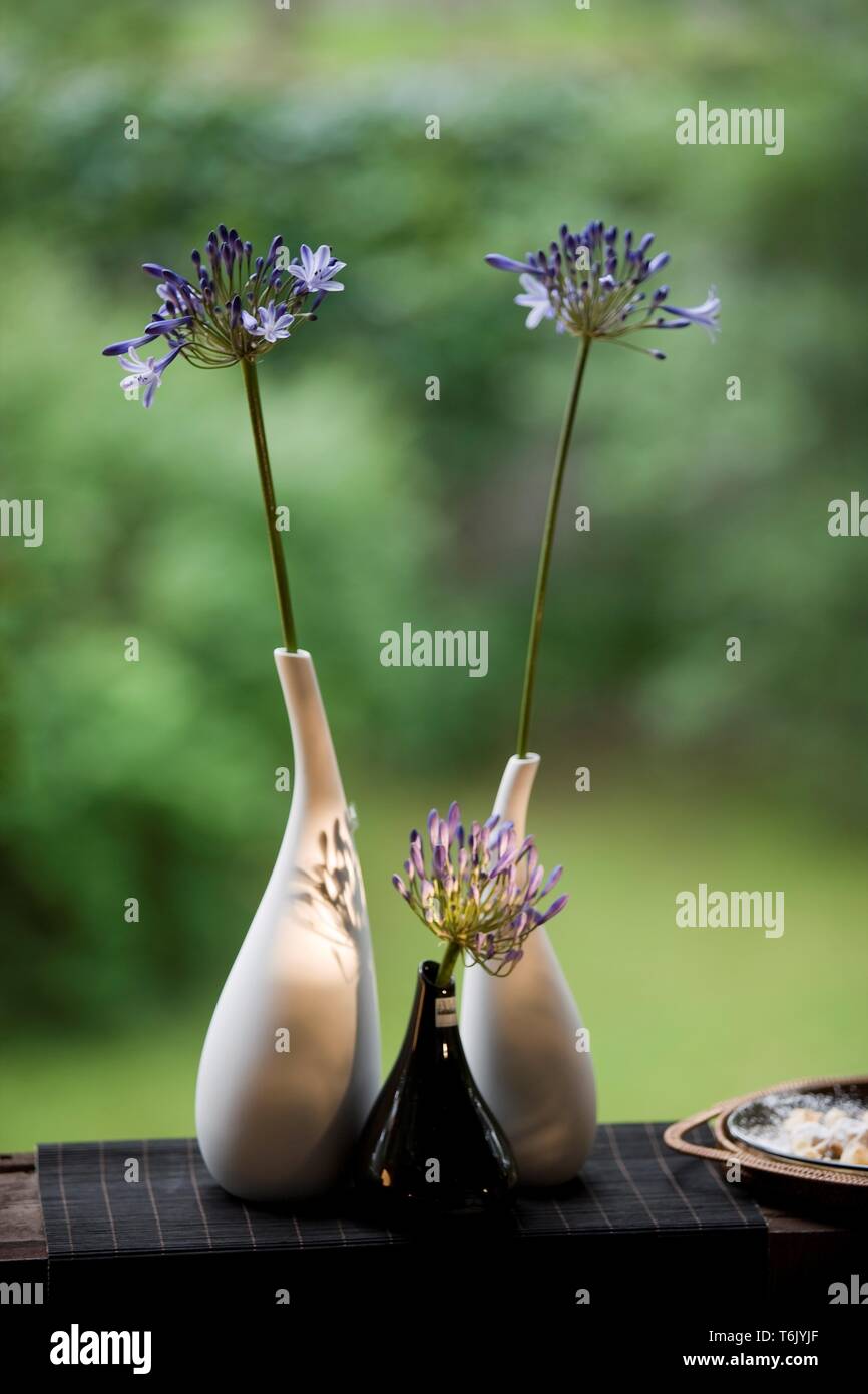 Blumen in Vasen Stockfoto