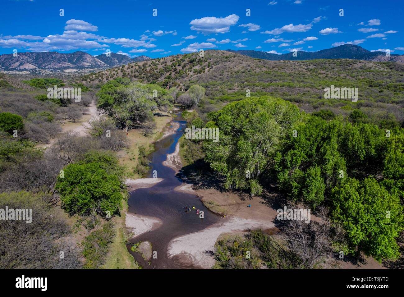 Luftaufnahme von Vegetation, Bäume, Bach oder Fluss in der Nähe der Stadt San Lorenzo und Sierra Chivato, Gemeinde Santa Cruz Sonora während der madrean Entdeckung Expedition. (Foto: GreaterGood.org LuisGutierrez/NortePhoto) Vista aerea de vegetacion, Arboles, arroyoo Rio de las inmediaciones de Pueblo de San Lorenzo y Sierra Chivato, Municipio de Santa Cruz Sonora durate la Madrean Entdeckung Expedition. (Foto: GreaterGood.org LuisGutierrez/NortePhoto) Stockfoto