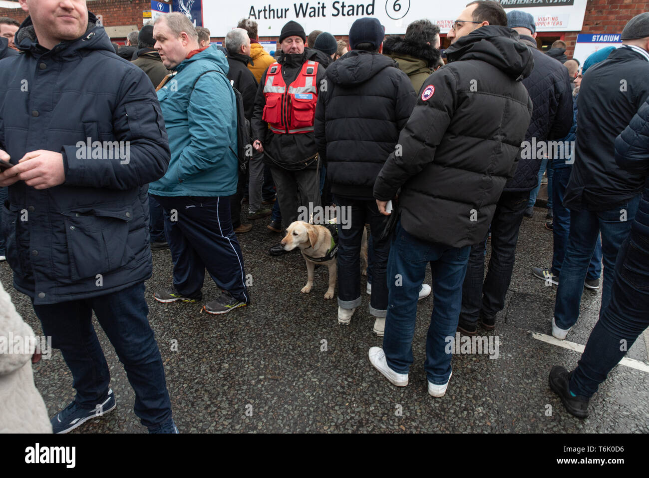 Eine Suche Hund und seine Handler an Selhurst Park, Crystal Palace FC Home unter Tottenham Hotspur Fans vor einem FA Cup binden. Januar 2019. Stockfoto