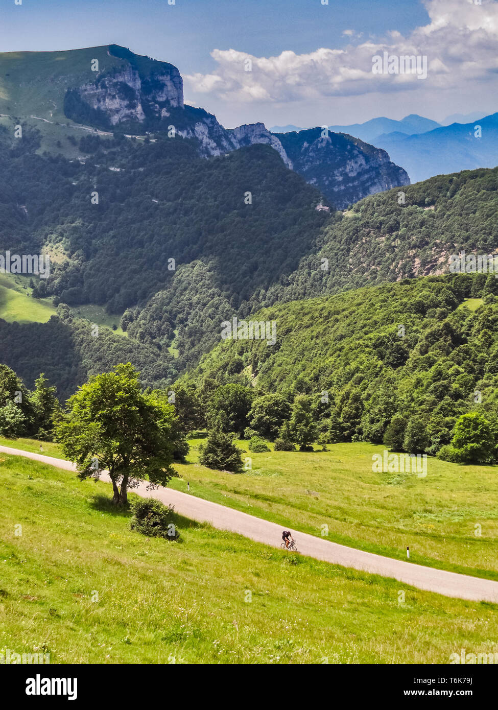 Altopiano del Monte Baldo, sullo sfondo Cima Ventrar. Ciclista. [ENG] Monte Baldo Hochland. Im Hintergrund, Cima Ventrar Ventrar (Peak). Radfahrer. Stockfoto