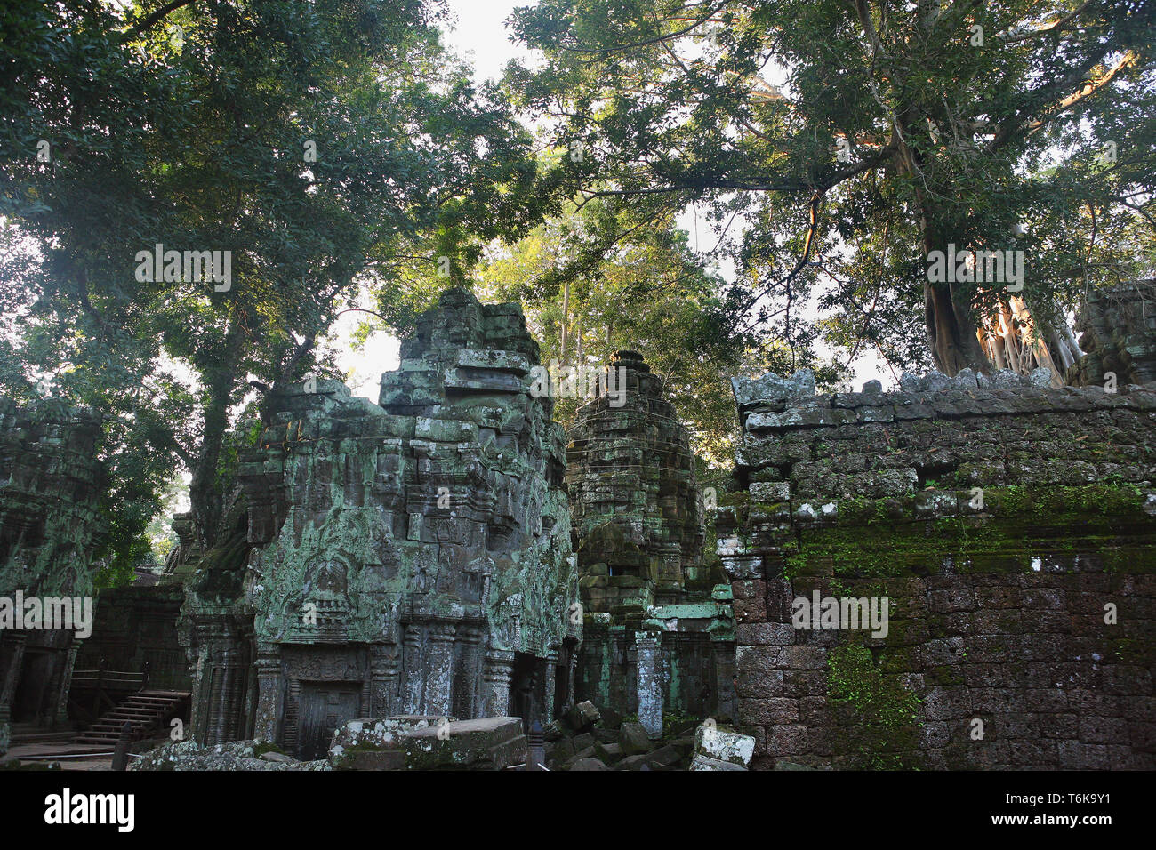 Sat-Tempel im dritten Gehäuse, Ta Prohm, Angkor, Siem Reap, Kambodscha Stockfoto