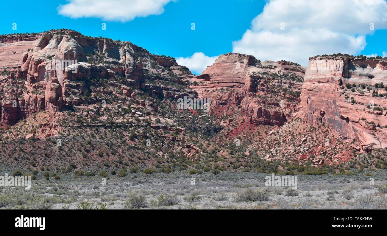 Colorado slickrock Canyons. Stockfoto