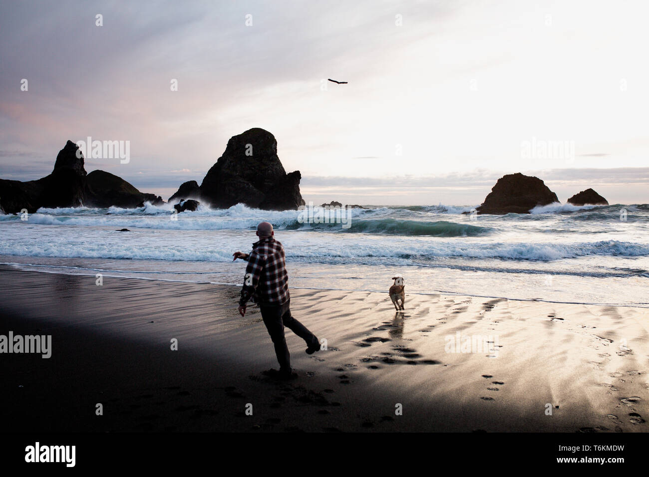 San Diego Surfen Stockfoto