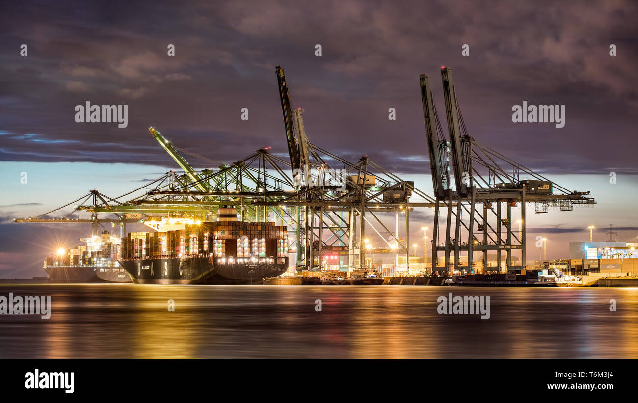 Beleuchtete Container Terminal in der Dämmerung. Dank der sehr hohe Produktivität, Antwerpen ist eine der am schnellsten wachsenden europäischen Containerhäfen. Stockfoto