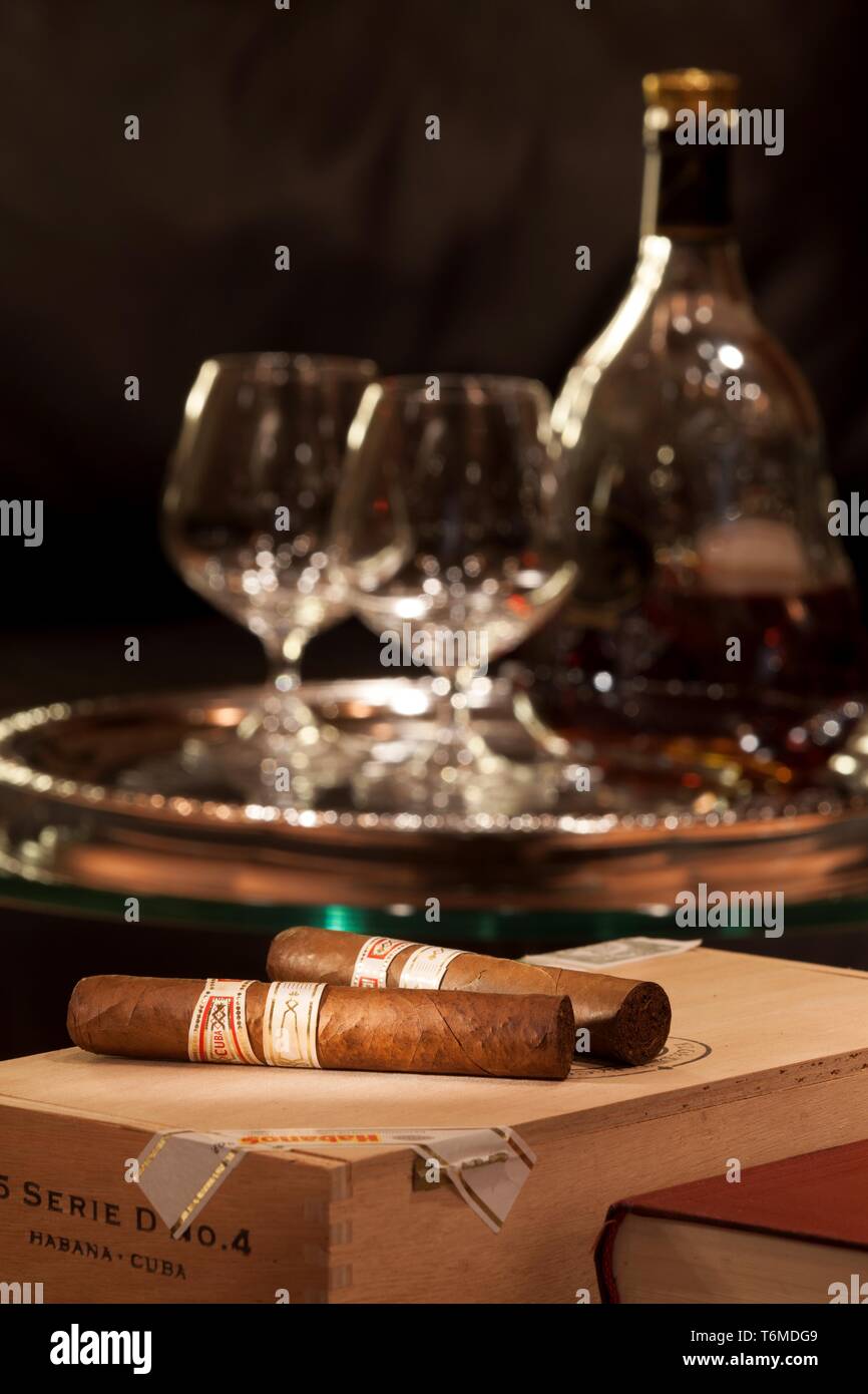 Cigar Lounge in Vihula Manor Country Club und Spa Stockfoto