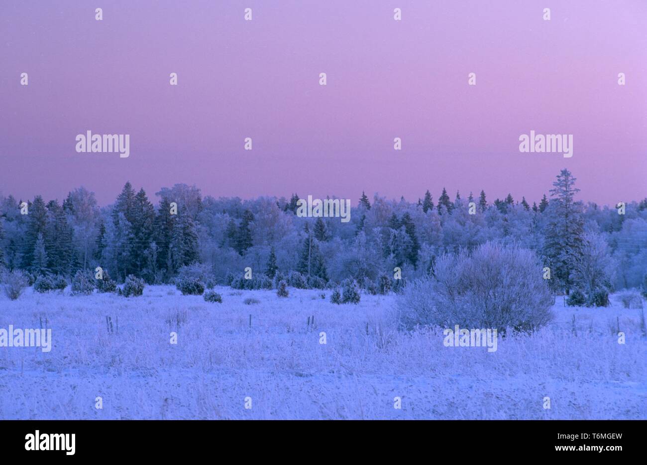 Blick auf die schneebedeckten Feld Stockfoto