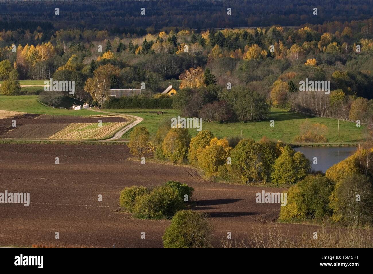 Eine Ansicht von EmumÃ¤gi, JÃµgeva county Stockfoto