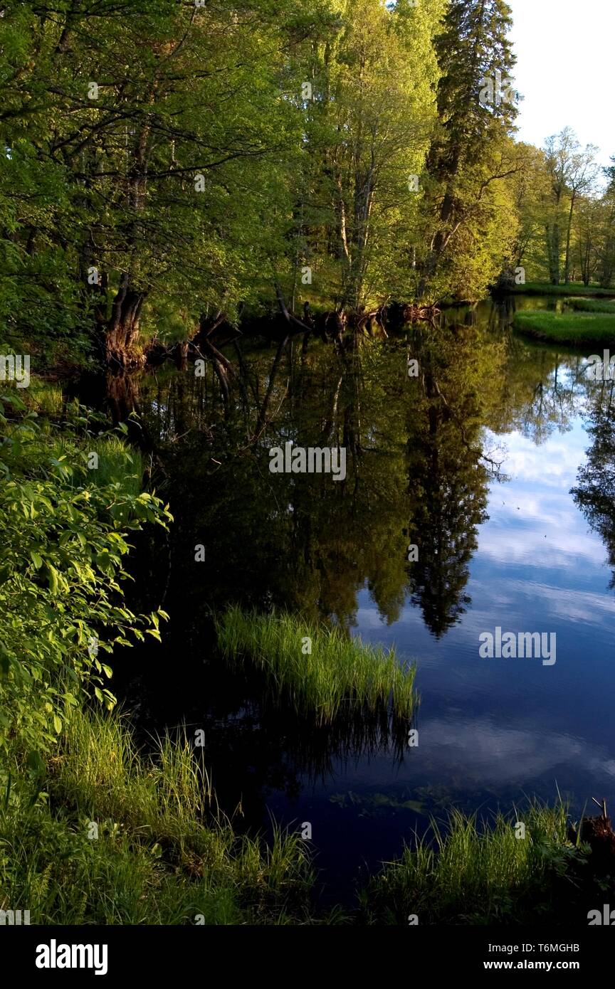 Landschaft im Naturschutzgebiet KÃµrvemaa Stockfoto