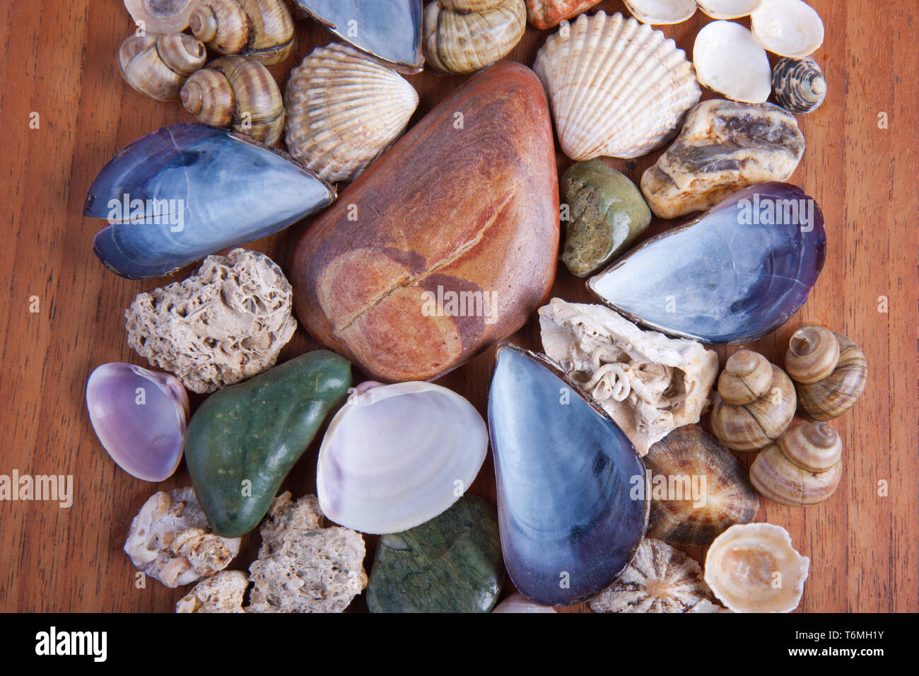 Schöne Dekoration aus bunten Steinen und Muscheln Stockfoto