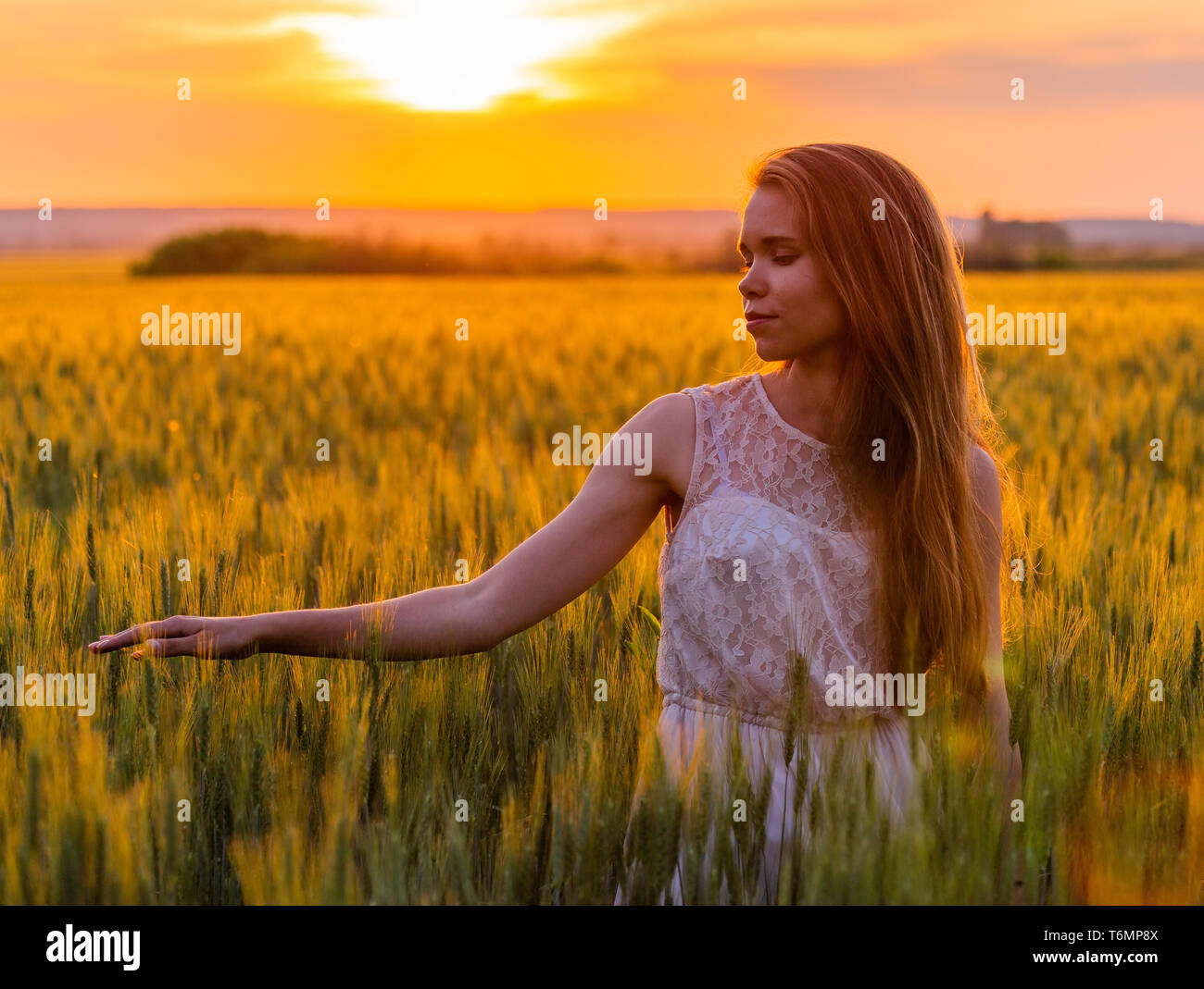 Mädchen berühren Ohren von Weizen bei Sonnenuntergang Stockfoto
