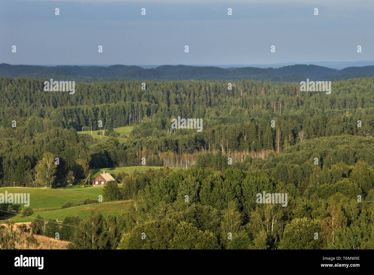 Eine Ansicht von TornimÃ¤gi, Karula Naturschutzgebiet Stockfoto