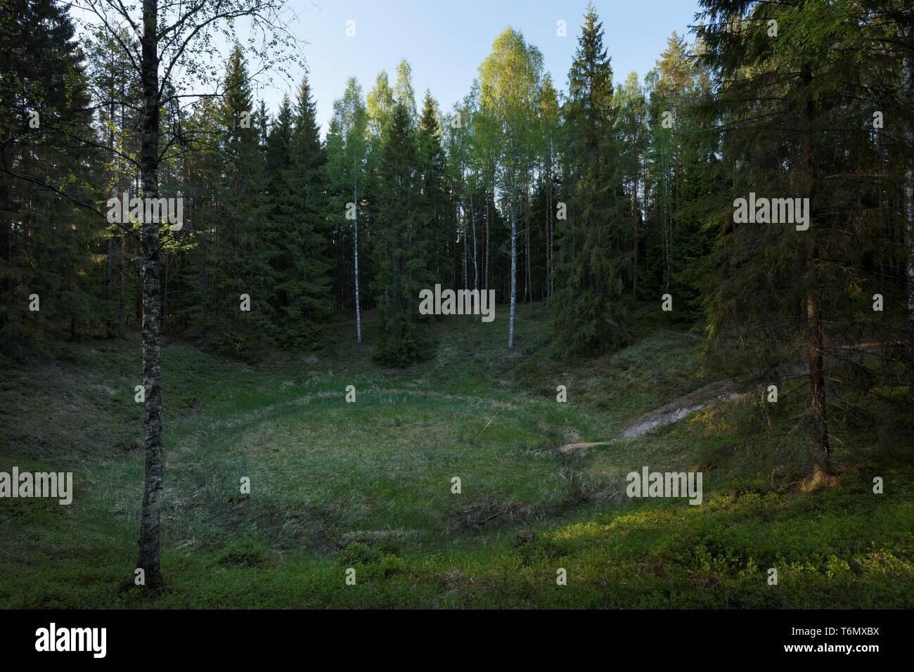 Meteoritenkrater in Ilumets, PÃµlva county Stockfoto