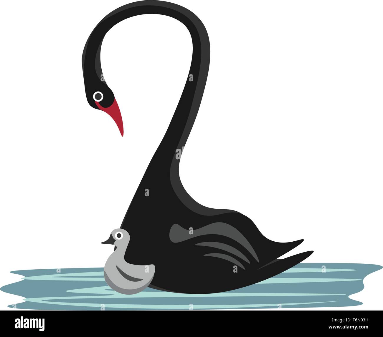 Ein schwarzer Schwan mit rote Nase ist das schwimmen im Wasser mit ihren Küken vector Farbe, Zeichnung oder Abbildung Stock Vektor
