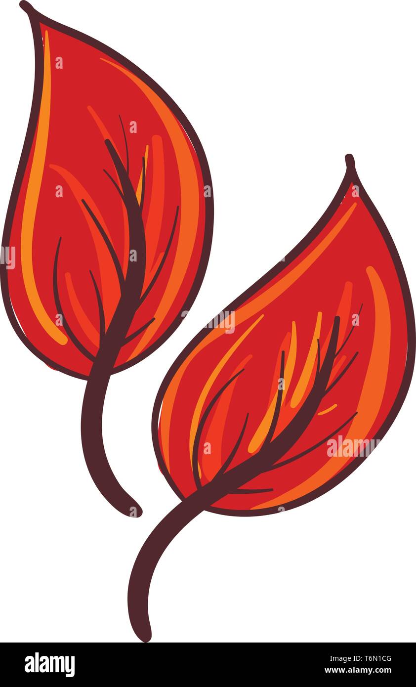 Clipart von zwei orange-farbige Blätter, sind oval geformt und verfügen über alternative Äderung kann das Ergebnis der Herbstsaison vector Farbe dr symbolisieren Stock Vektor