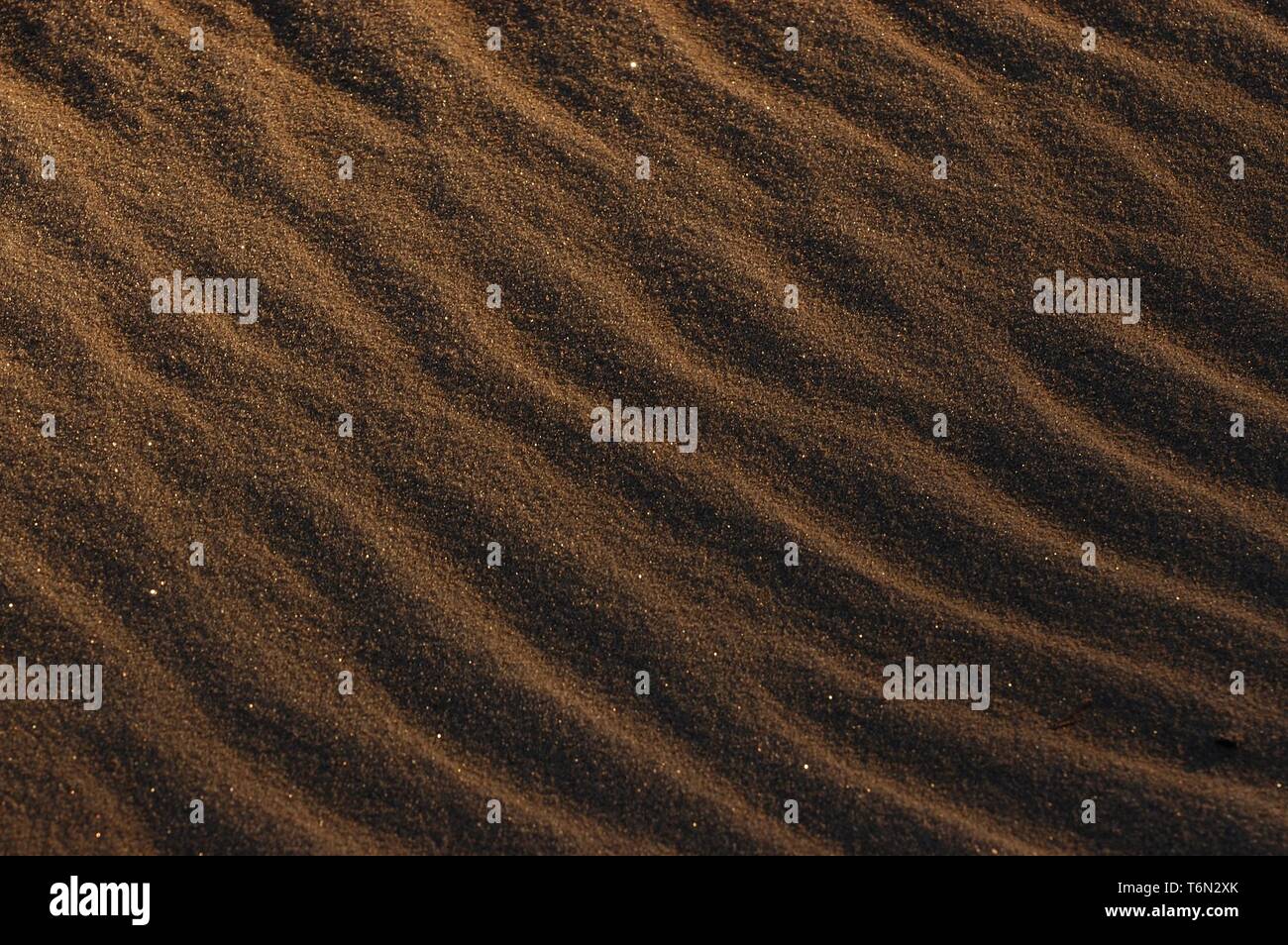 Schneebedecktes Feld im Sonnenuntergang Stockfoto