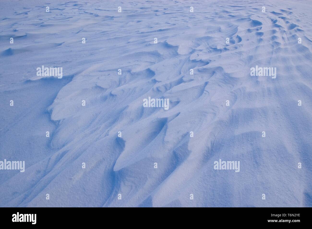 Snowy Oberfläche Stockfoto