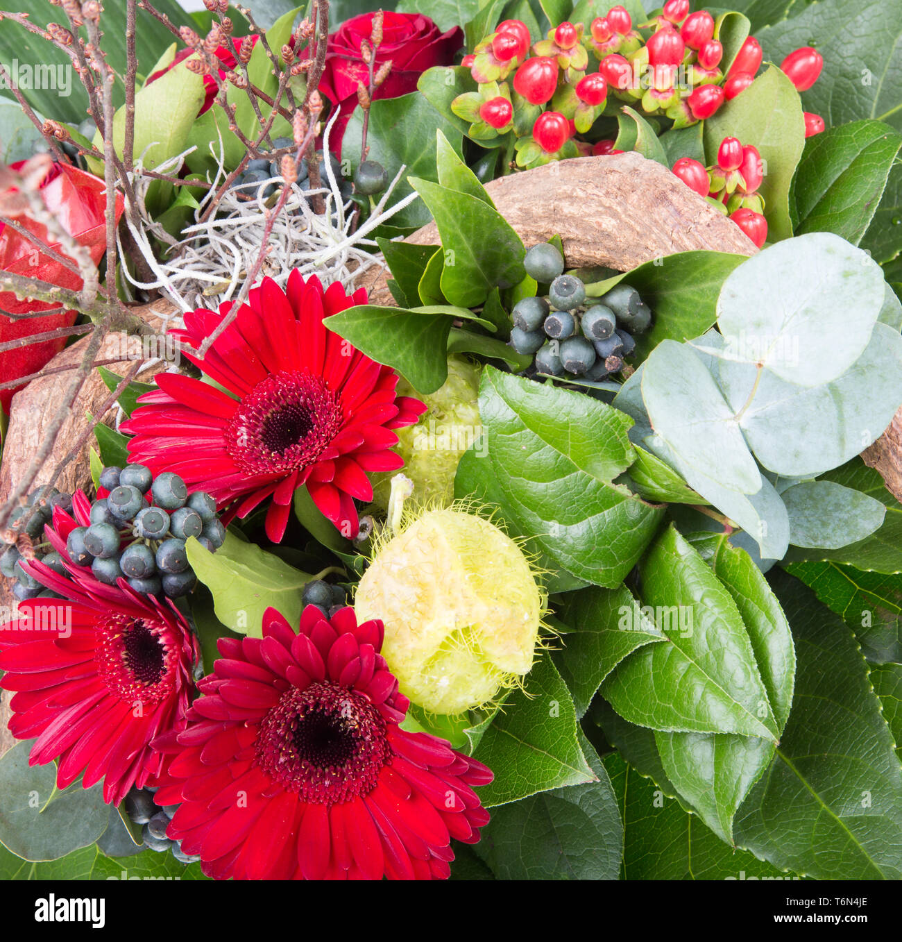 Verschiedene bunte Blumen Stockfoto