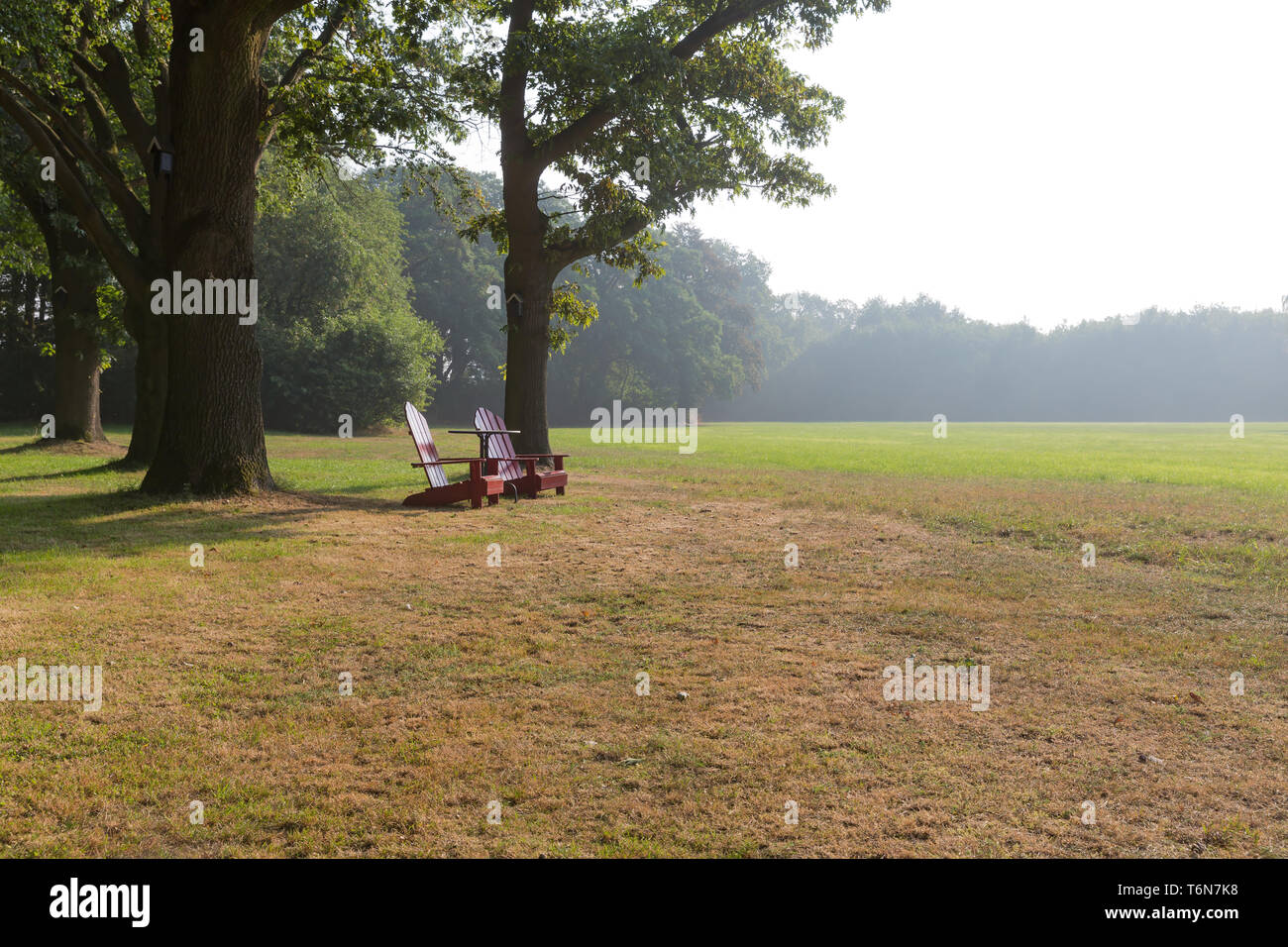 Hölzerne Liegestühle in ländlichen Landschaft der Niederlande Stockfoto