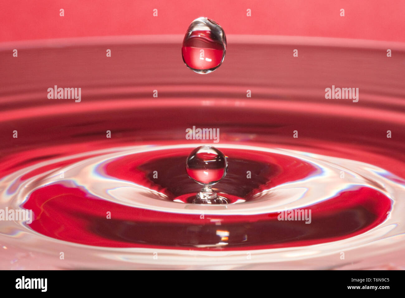 Nahaufnahme von fallenden Wassertropfen in eine rote Flüssigkeit Stockfoto