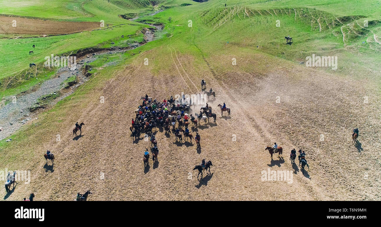 Herde von Pferden Blick von drone Angst Pferd steht auf seinen Beinen während des traditionellen Spiel bei Karakol Festival in Tadschikistan. Es war byt Ziege Angst Stockfoto
