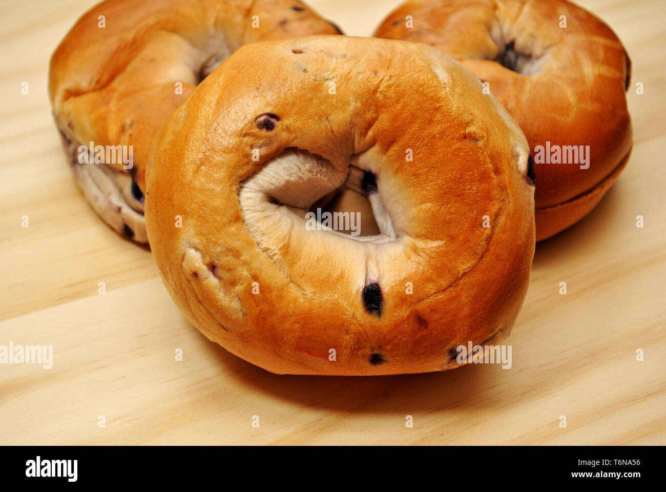 Blue Berry Bagels Stockfoto