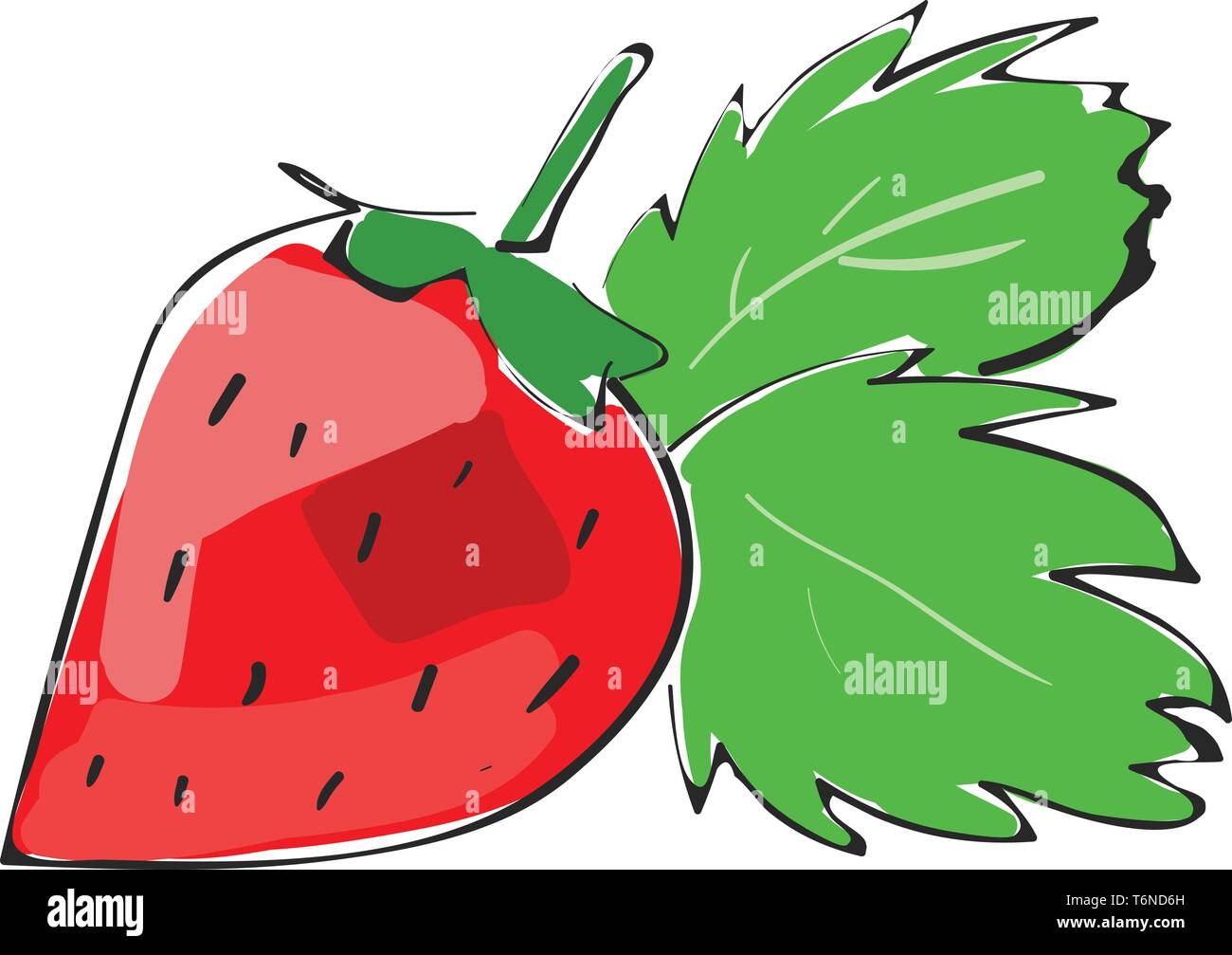 Eine Skizze der Erdbeere mit zwei großen Blätter auf das vector Farbe
