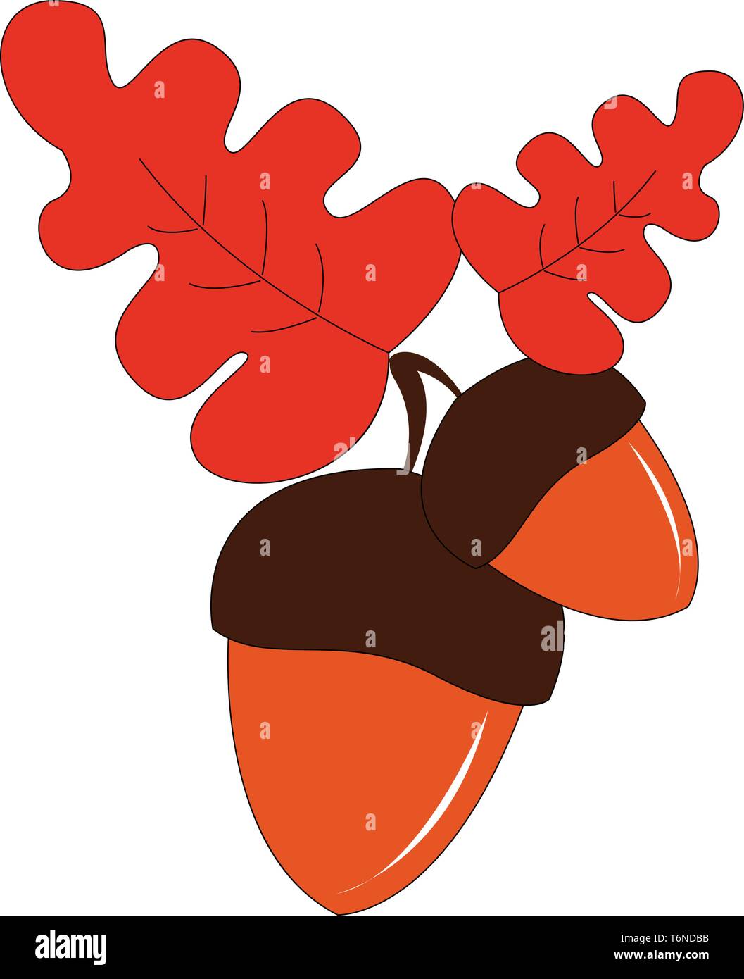 Paar orangefarbene acorn Früchte mit braunen Tassen an der oberen und zwei grosse rote Blätter vector Farbe, Zeichnung oder Abbildung Stock Vektor