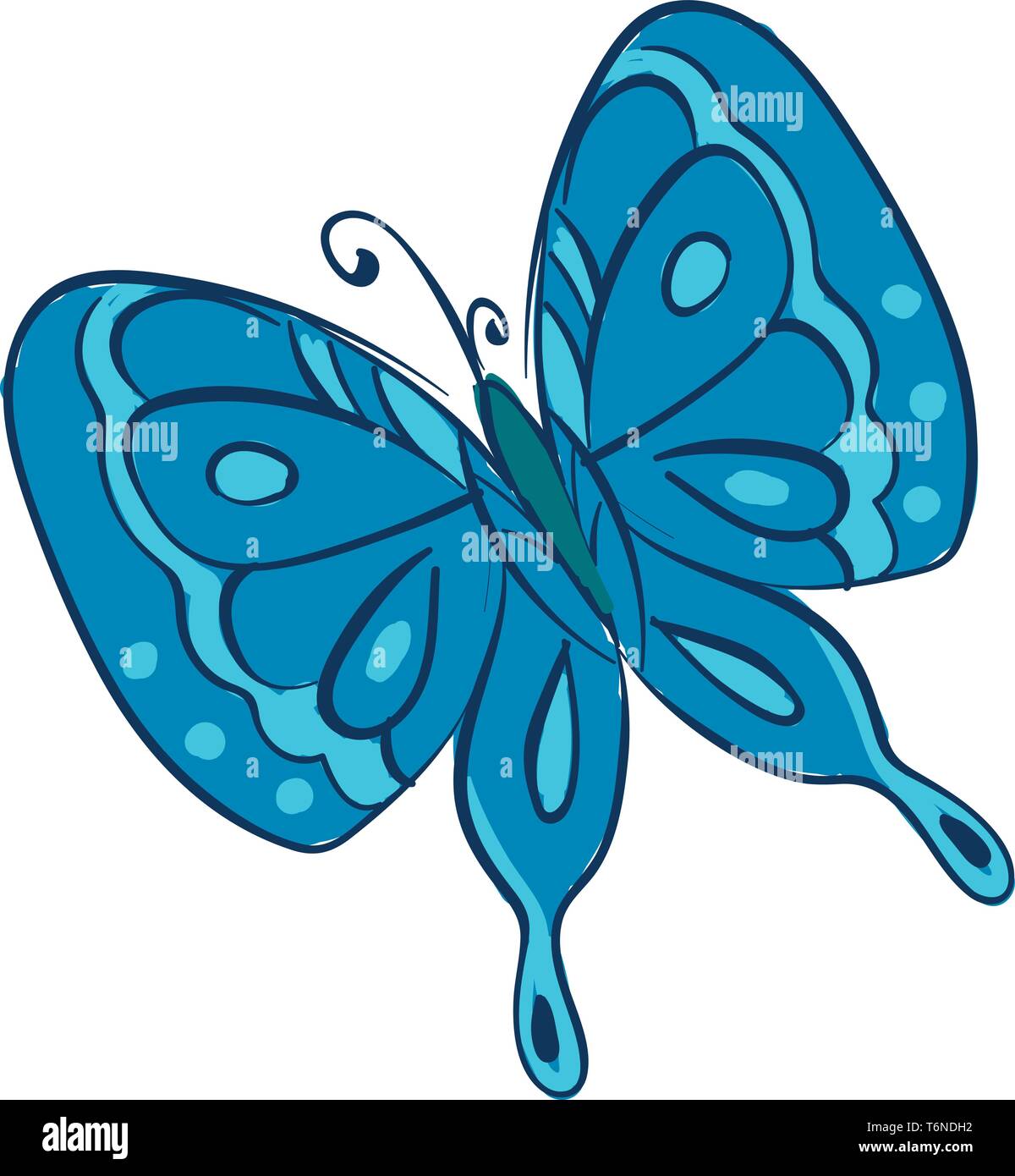 Clipart eines Schmetterlings mit zwei Paaren von großen in der Regel hell blau gefärbten Flügel mit mikroskopischen Skalen von verschiedenen Mustern Vektor abgedeckt c Stock Vektor