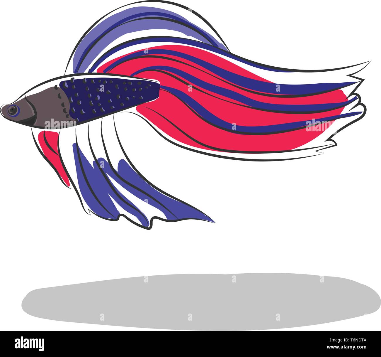 Bild von einer bunten Fischen mit einem länglichen Körper, einen langen Schwanz und schwebenden Sichel - wie Flossen vector Farbe, Zeichnung oder Abbildung Stock Vektor