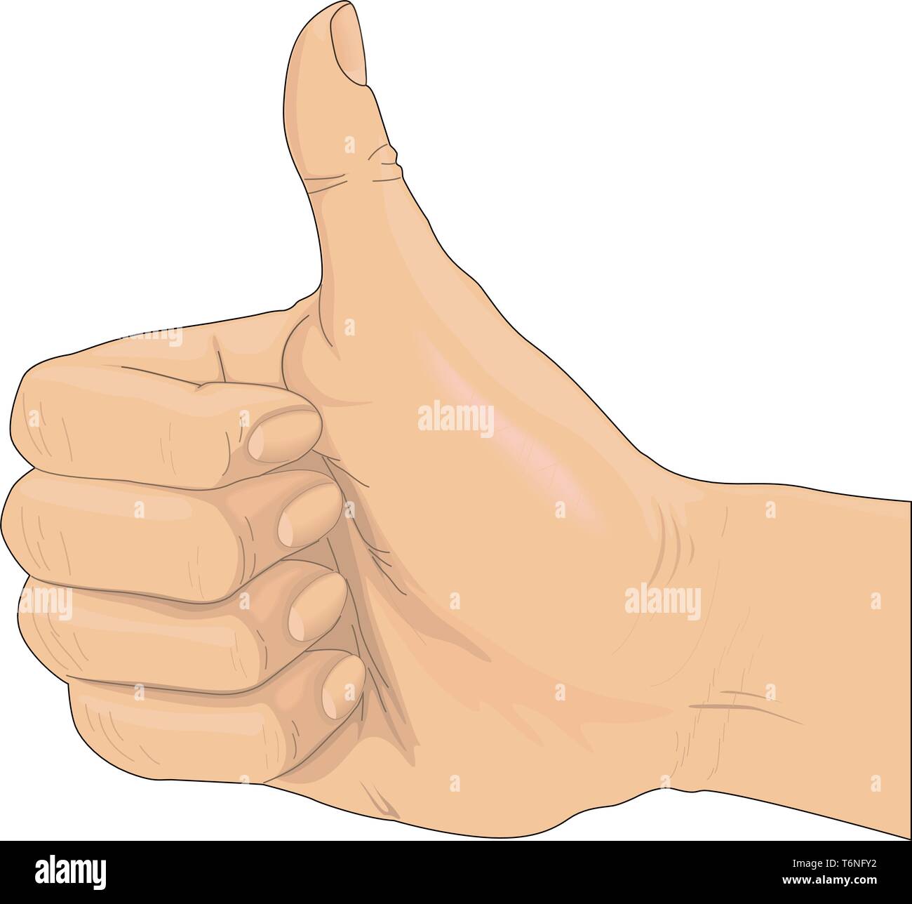 Daumen Zeichen Daumen hoch Zeichen Vector Illustration Stock-Vektorgrafik - Alamy