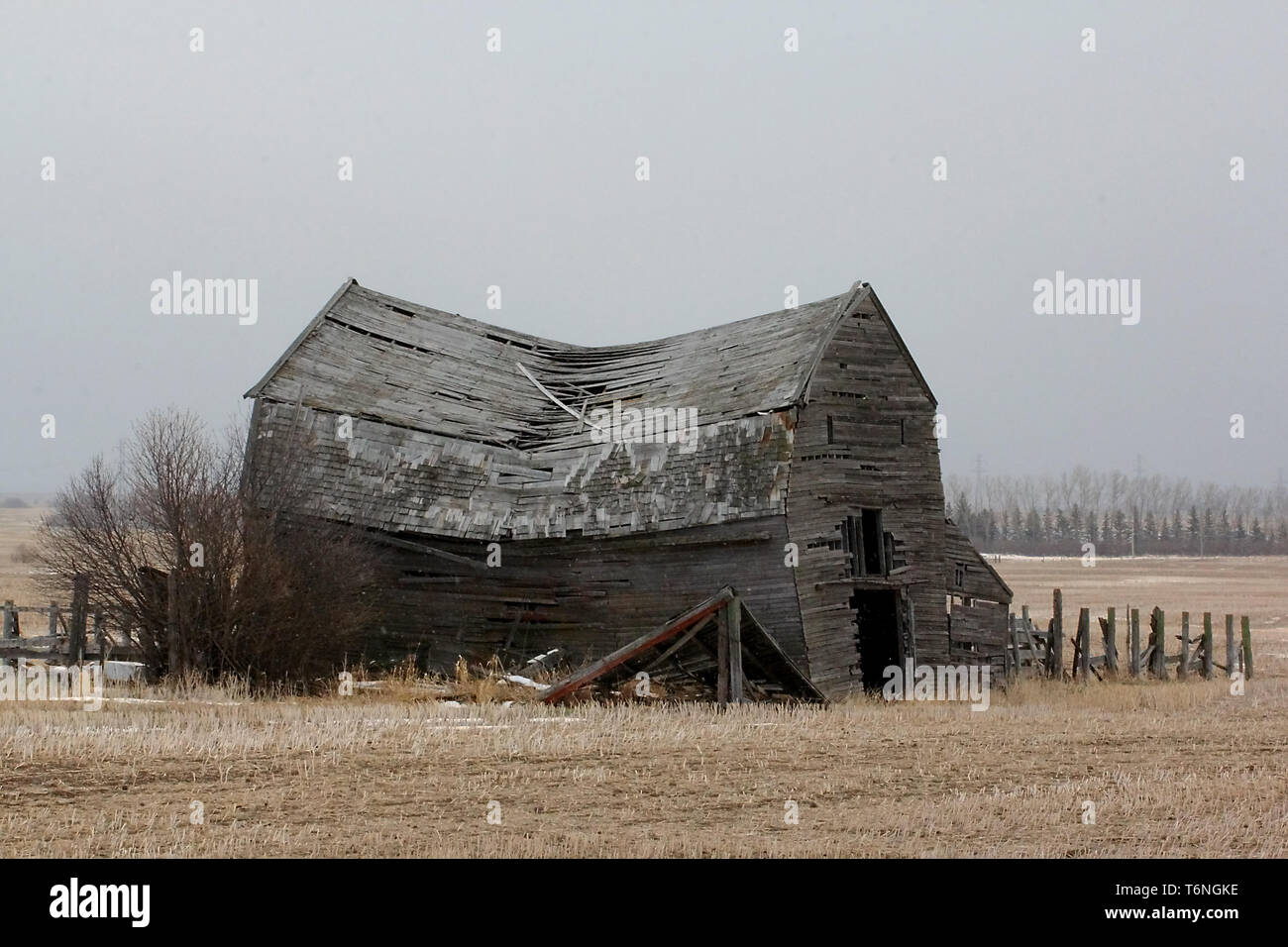 Alte Scheunen in unterschiedlichem Grad des Verfalls dot der Kanadischen Prärien. Stockfoto