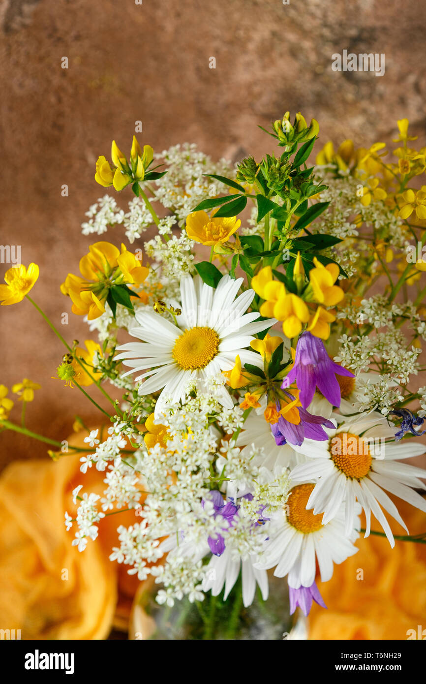 Strauss glockenblume Fotos und Bildmaterial in hoher Auflösung Alamy