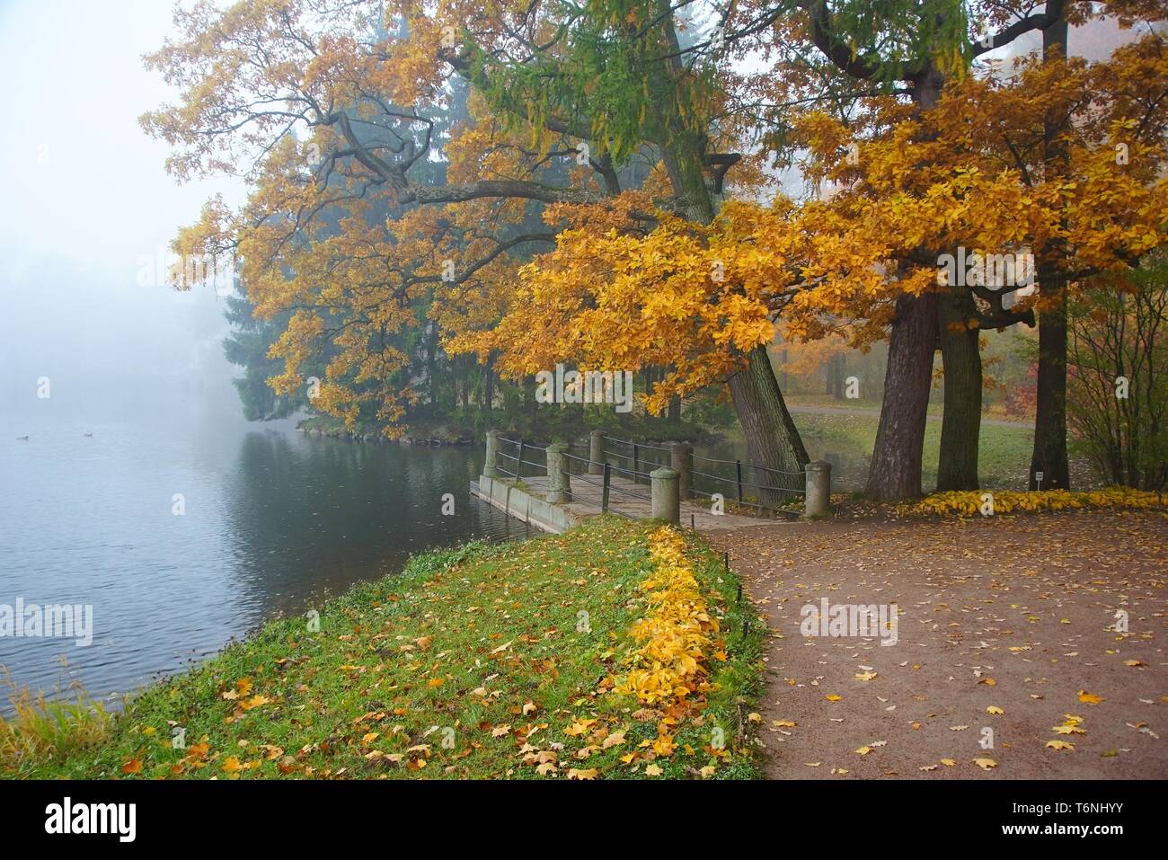 Nebel und Herbst morgen im Catherine Park Stockfoto