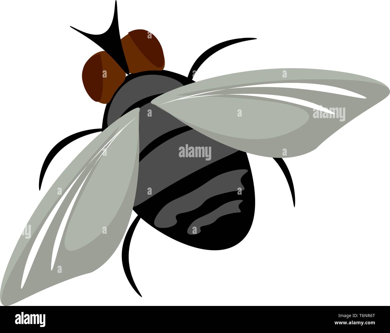 Gemälde von einem braunen Stubenfliege mit schwarzen Streifen auf der ovale graue Körper seine Flügel im Flug vector Farbe, Zeichnung oder Abbildung Stock Vektor