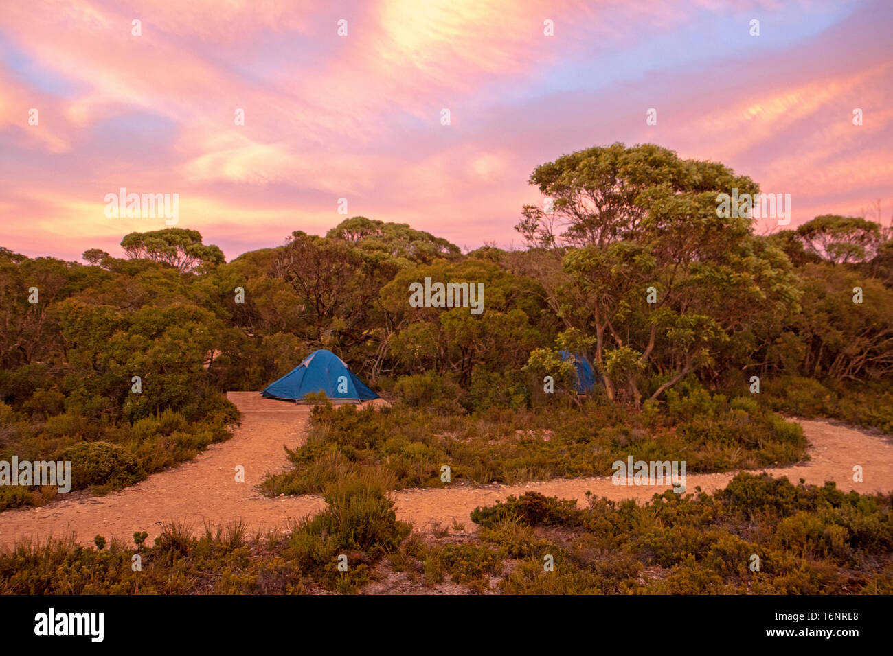 Zelte auf dem Campingplatz Hakea entlang der Kangaroo Island Wilderness Trail Stockfoto