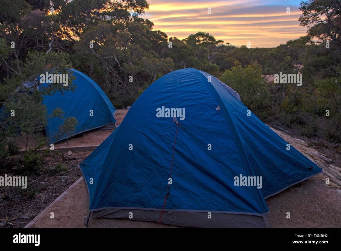 Zelte in der Morgendämmerung am Hakea Campingplatz entlang der Kangaroo Island Wilderness Trail Stockfoto