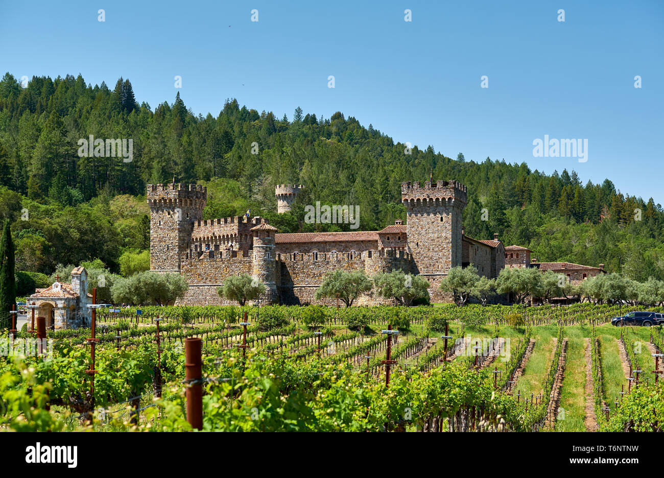 Weinberge mit Schloss in Kalifornien Stockfoto