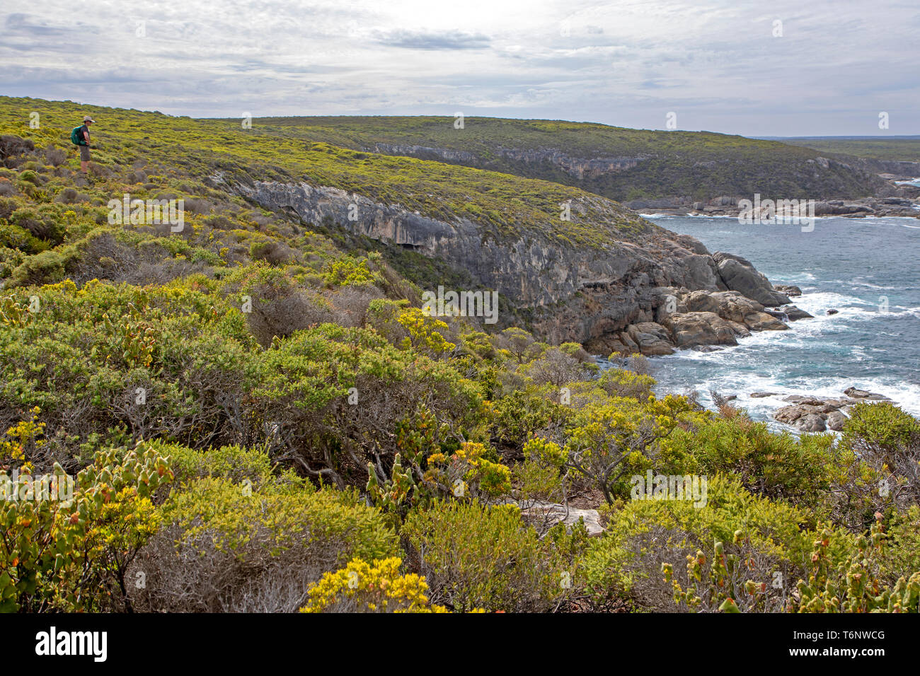 Wandern auf dem Kangaroo Islands Wilderness Trail Stockfoto
