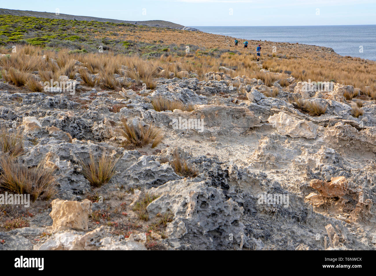 Wandern auf dem Kangaroo Islands Wilderness Trail Stockfoto