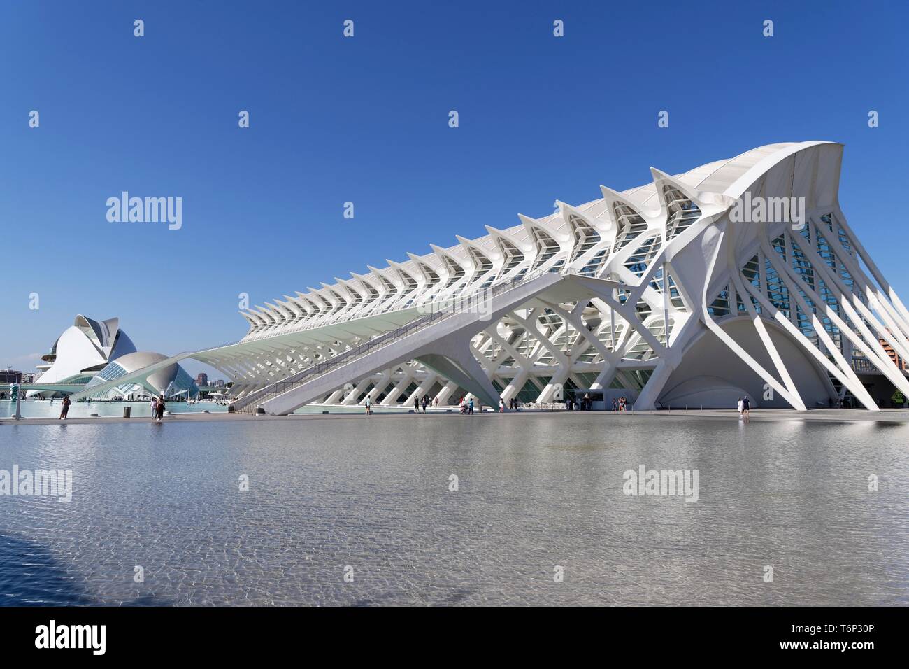 Wissenschaftsmuseum, Valencia, Spanien Stockfoto