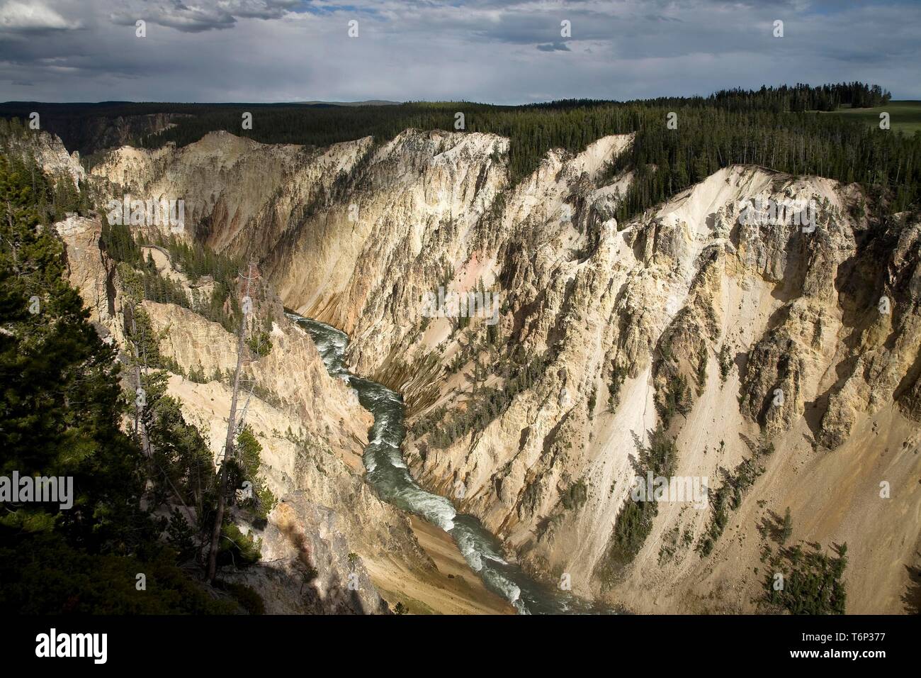 Grand Canyon von Yellowstone, Yellowstone National Park, Wyoming, USA Stockfoto