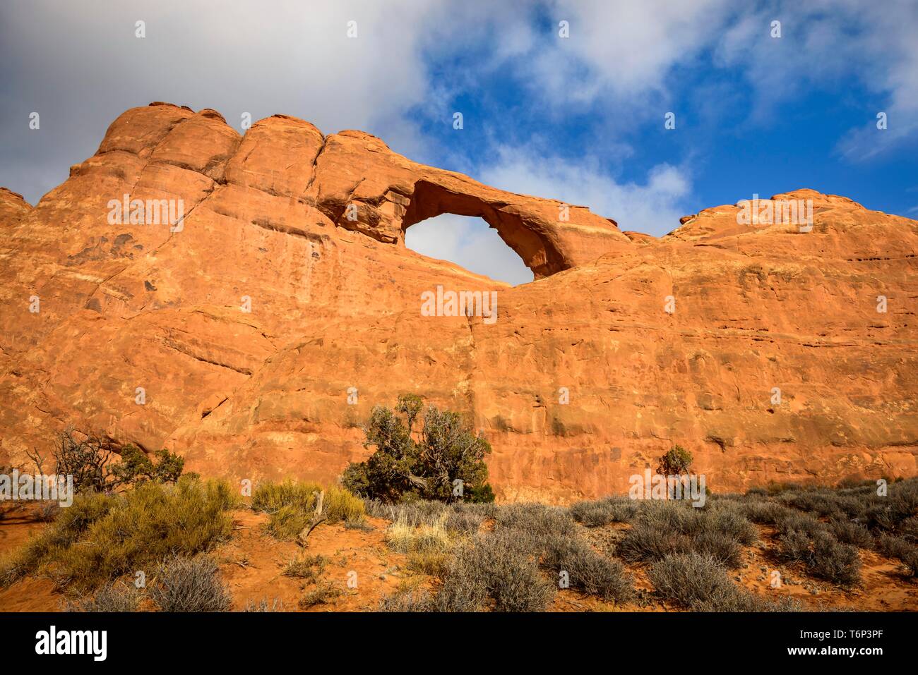 Skyline Arch, Arches-Nationalpark in der Nähe von Moab, Utah, USA Stockfoto